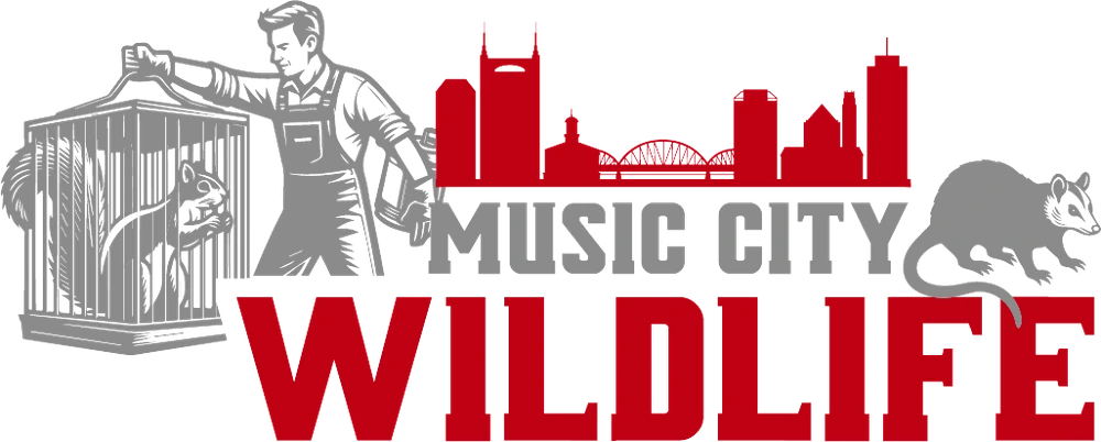 Music City Wildlife, Nashville and Middle Tennessee Music City Wildlife logo with a wildlife technician carrying a trap, the Nashville skyline and an opossum