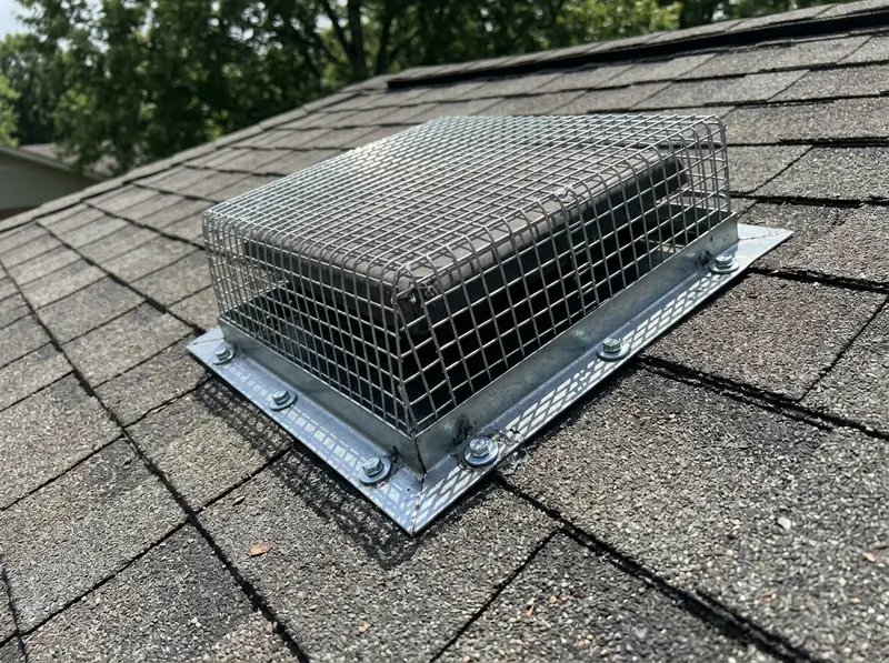 Heavy-Duty Mesh Over a Roof Vent | Music City Wildlife A heavy-gauge galvanized steel mesh cover fitted over a roof vent on a shingled Tennessee roof, new screws visible, bright daylight.